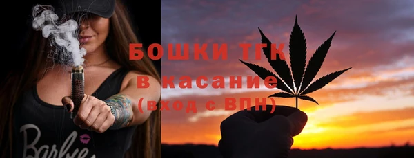 ECSTASY Вяземский